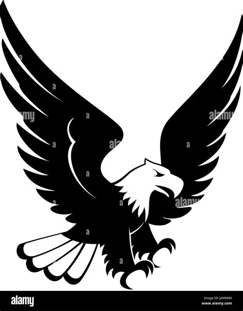 Eagle Landing Clipart Hi Res Stock Photography And Images Alamy