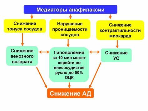 Диета анафилактический шок Анафилактический шок - презентация онлайн Анафилактический шок - презентация онлайн Диета анафилактический шок