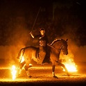 Feuer und Licht: Bei der Show des Pferdestammbuch SH/HH ist in diesem ...