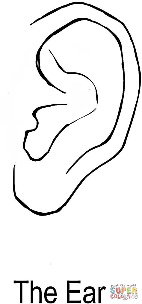 Ears Coloring Pages For Kids Coloring Pages