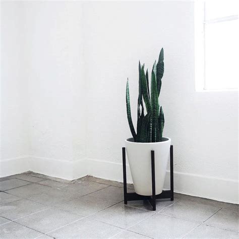 Modernica Case Study Ceramic Funnel Pot Planter With Wood Stand