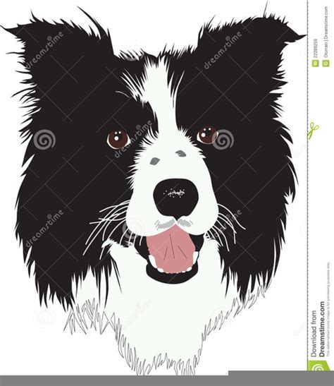 Cartoon Border Collie Clipart Free Images At Vector Clip
