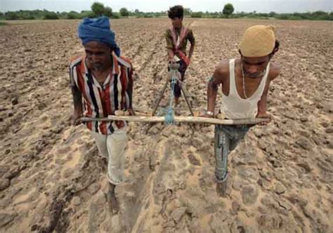 Debt Hit Karnataka Farmer Commits Suicide India News India Tv