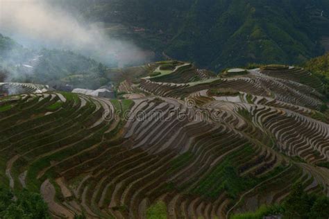 Longji Rice Terraces Guangxi Province China Stock Photo Image Of