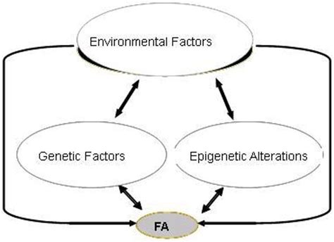 Genetics Of Food Allergies Mmg 233 2014 Genetics And Genomics Wiki Fandom