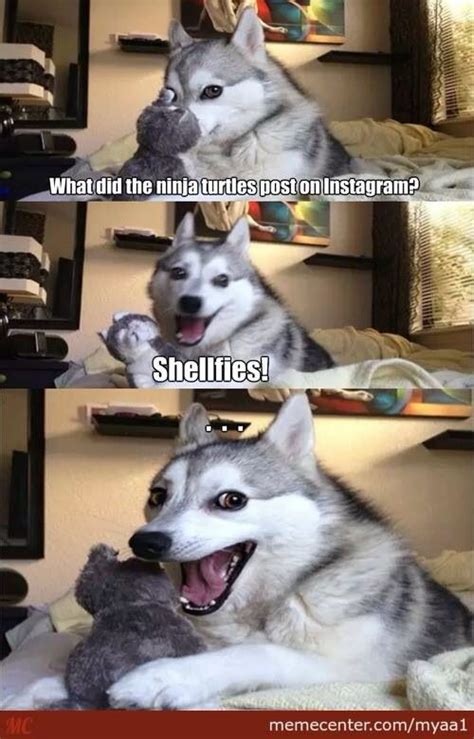 Husky Jokes Funny Puns Cheesy Jokes Funny Dog Memes