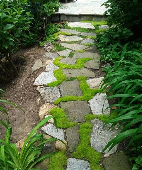 Mow Free Lawn No Grass Moss Slate Walkway Pathway Landscaping
