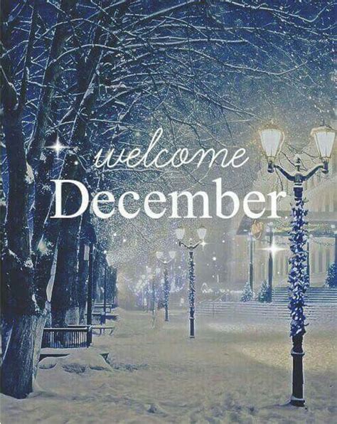 Winter Night Welcome December Quote Pictures, Photos, and Images for ...