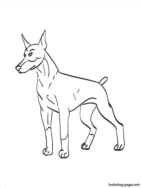 Doberman Pinscher Coloring Pages At Getdrawings Free Download