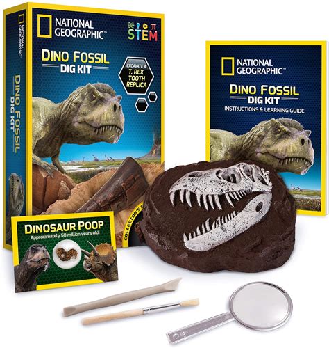 National Geographic Dino Fossil Dig Kit Dig Up A Trex Tooth Replica Includes A
