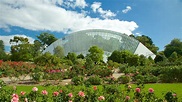 Adelaide Botanic Gardens - Adelaide, South Australia Attraction ...