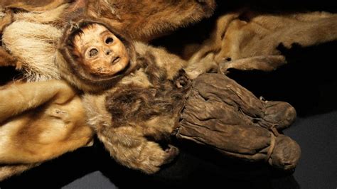 Well Preserved Greenland Mummies On Display Adelaide Now
