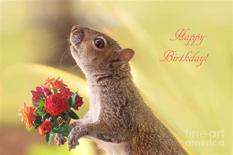 Cute Squirrel Holding Bouquet Of Roses Happy Birthday Photograph By