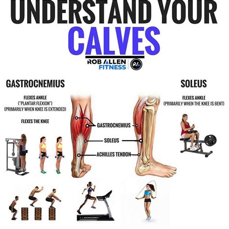 Grow And Sculpt Strong Calves With These 6 Body Weight Exercises Calf Exercises Bodyweight