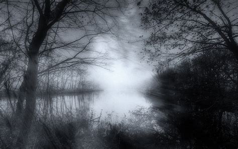 River Dark Mist Atmosphere Germany Landscape Nature Shrubs
