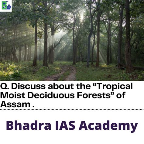 Discuss About The Tropical Moist Deciduous Forests Of Assam