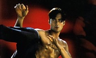 Top 8 Mark Dacascos Movies PACKED with Martial Arts