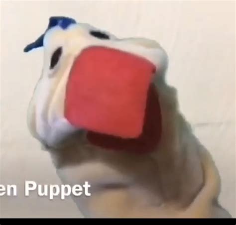 Baby Einstein Sheep Puppet