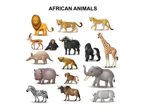 African Animals Collection By Tigatelu On Dribbble
