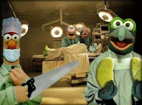 Muppet Surgery Surgery Humor Surgery Operating Room Humor