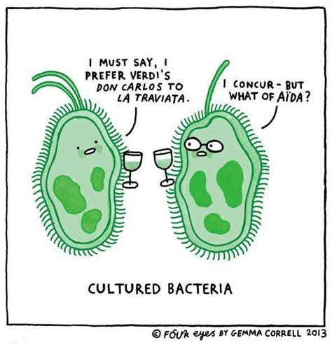 Cultured Bacteria Nerd Humor Science Jokes Science Humor