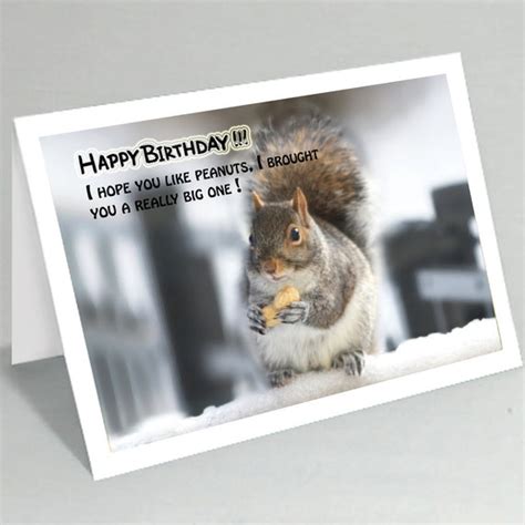 Funny Birthday Card Squirrel With Big Peanut Birthday