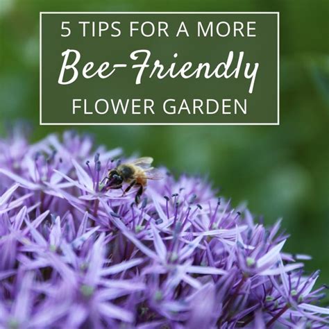 5 Tips For A More Bee Friendly Flower Garden Longfield Gardens