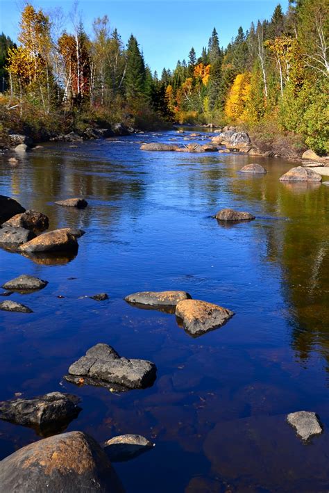 Free Images Tree Nature Rock Wilderness Mountain Leaf Lake