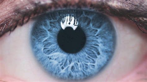 Most People Have Blue Eyes But Wow Alexs Eyes Are Amazing Its Like