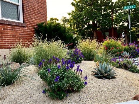 The Top 62 Xeriscape Ideas Trendey