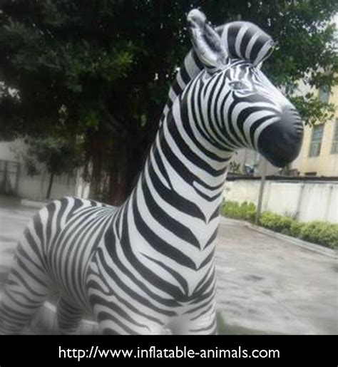 Inflatable Zebra Lifesize Large Inflatable Animal A Photo On Flickriver