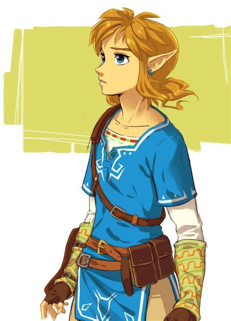 Link Wiiu 2016 Zelda Fans Arts Pinterest Nintendo Anime And