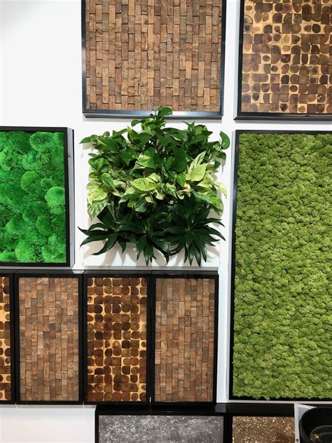 Moss Walls Interior Design And Soundproofing For Your Office Botanicus