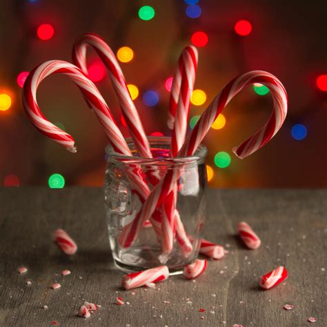 Christmas Peppermint Candy Canes 12ct Box • Christmas Candy Canes