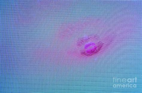 Pink Lipstick Kiss Smudged On A Television Screen Photograph By Sami Sarkis