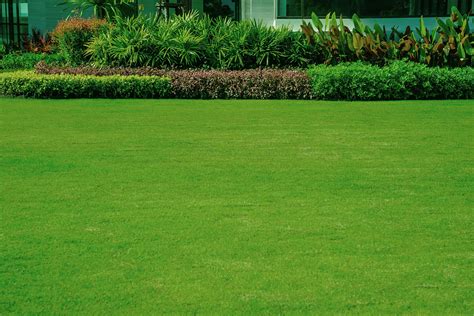 Lawn Mowing Quote Template | Quote Examples | Quotient