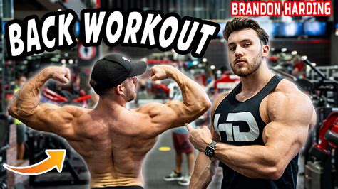 Dorso Enorme Con Brandon Harding Back Workout Massacrante Youtube