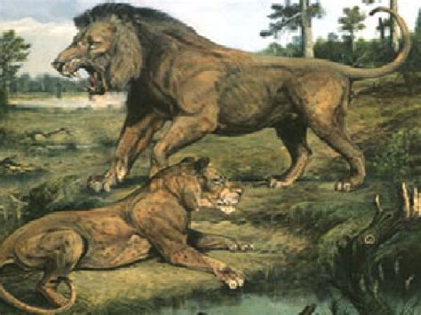 Extinct Animals American Lion Blue Line