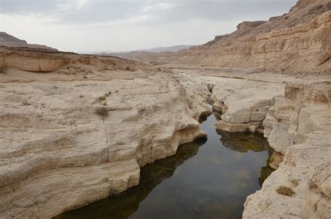 The Negev Desert Israel Stumbling Upon This Little Creek In The