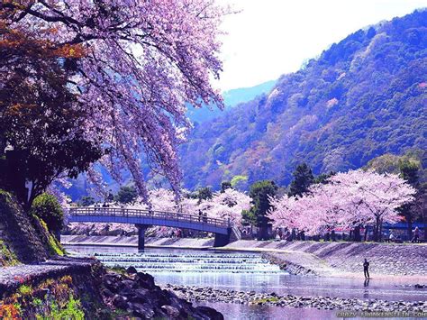 unduh 100 japanese wallpaper nature populer terbaik posts id