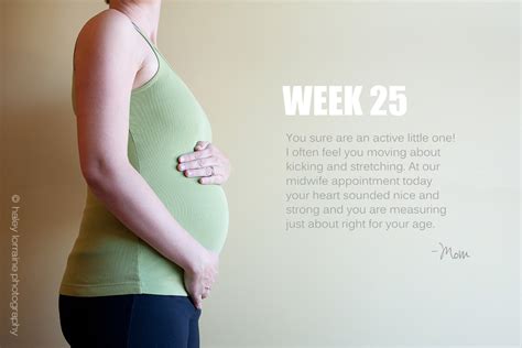 25 Weeks Pregnancy Series Haley Lorraine Photography