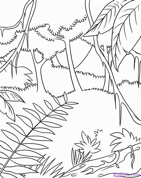 Layers Of The Rainforest Coloring Page At Free