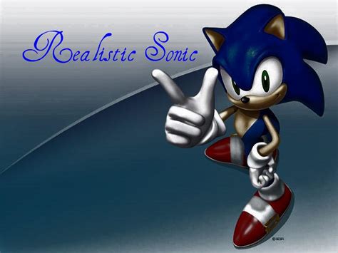Realistic Sonic By Clankgirl On Deviantart