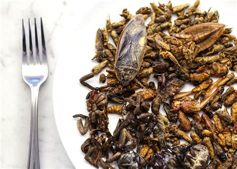 get your edible bug fix at meat maniac in richardson d magazine