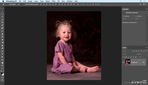 Photoshop Cc Essential Training Photography Download Macos