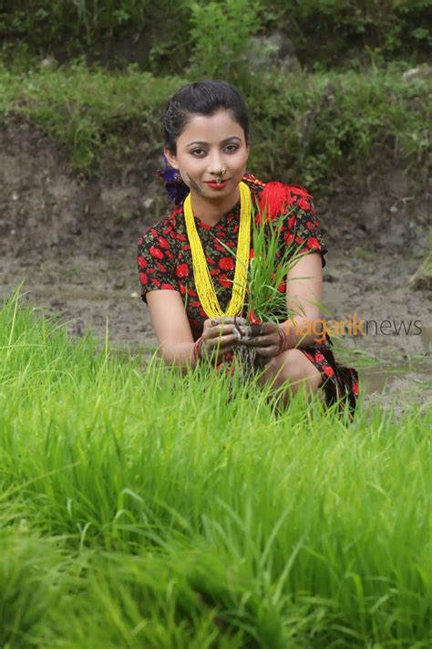 chapali girl binita baral planting paddy asar 15 special travel and tours in nepal 2020