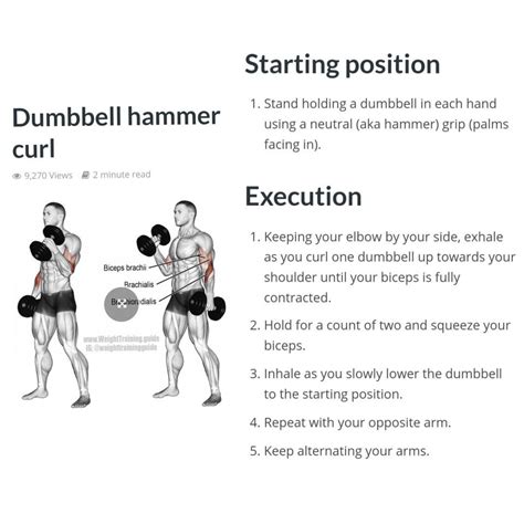 Pin By Carri Ashley On Physical Fitness Biceps Brachii Physical