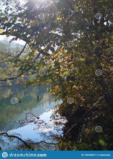 View To A Beautiful Mountain Lake In South Bavaria In Warm