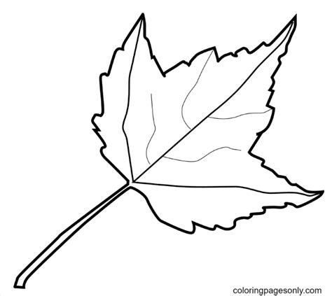 A Autumn Leaf Coloring Page Free Printable Coloring Pages