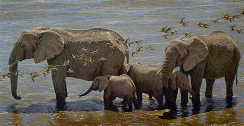 Elephant Herd And Sandgrouse By Robert Bateman